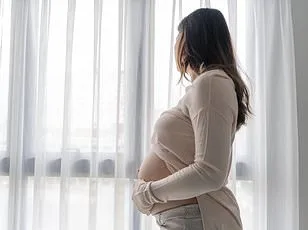 Fetal MRI Images Fuel Debate on Safety in Pregnancy