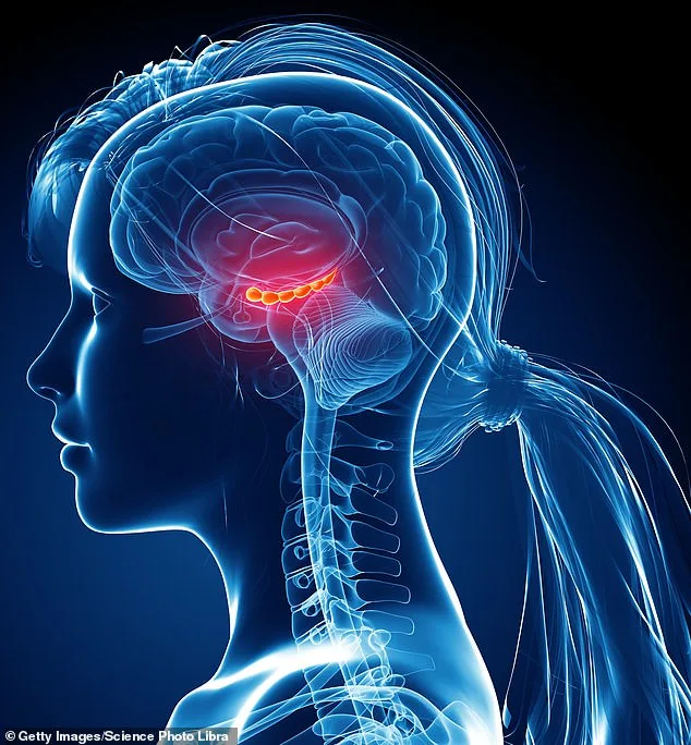 The Dynamic Brain: How Lifestyle Changes and Scientific Breakthroughs Are Rewriting the Rules of Aging