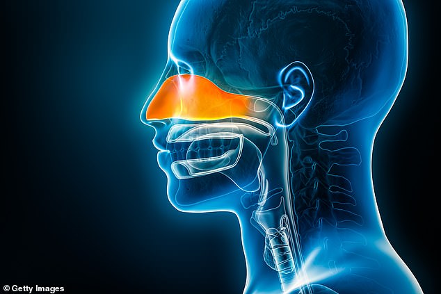Grandmother's 15-Year Battle with Anosmia: A Journey Through Chronic Rhinosinusitis and Daily Struggles