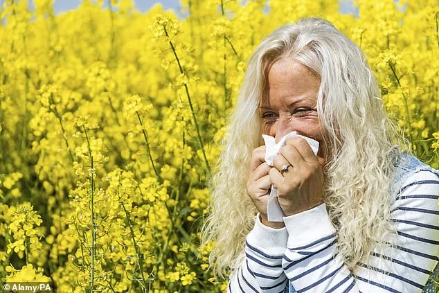 Pharmacist Issues Urgent Warning to UK's 16 Million Hay Fever Sufferers: Proactive Strategy to Prevent Debilitating Symptoms