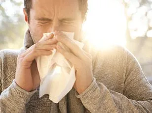 Pharmacist Issues Urgent Warning to UK's 16 Million Hay Fever Sufferers: Proactive Strategy to Prevent Debilitating Symptoms
