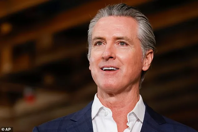 Gavin Newsom's 'In Memoriam' Video Criticizes Noem with McLachlan's Ballad and MAGA Jibe