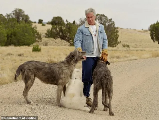 Epstein's Zorro Ranch: The Gordons, the Allegations, and the New Mexico Inquiry That Never Ends