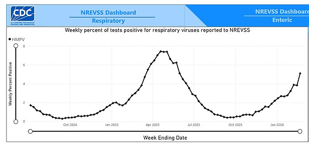 Surge in Human Metapneumovirus Cases in the U.S., No Known Cure as CDC Reports 5% of Respiratory Infections