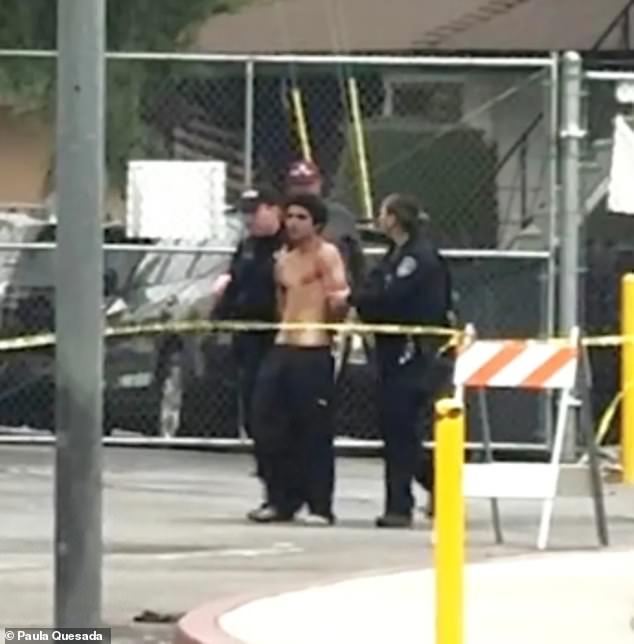 California Grandfather Killed in Tesla Charging Incident as Ambulance Stolen in Chaos