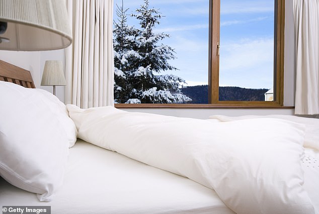 Dust Mites: Tiny Invaders with a Major Impact on Health