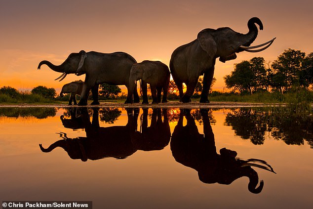 More Beautiful Than You: Chris Packham's Photography Exhibition Merges Science and Art