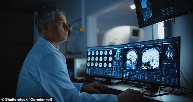 Breakthrough in Cryopreservation: German Neurologists Overcome Ice Crystal Challenge for Functional Brain Preservation