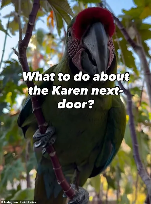 Heidi Fleiss Faces Backyard Battle Over Noisy Macaws in Las Vegas
