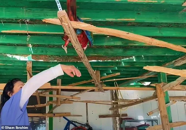 Heidi Fleiss Faces Backyard Battle Over Noisy Macaws in Las Vegas