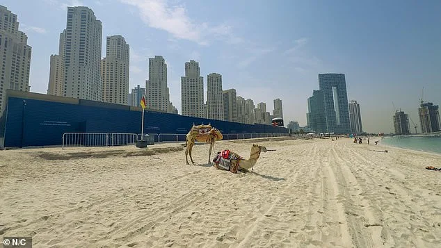 Dubai's Glittering Metropolis Turns Desolate Ghost: War Ravages a Once-Thriving Paradise