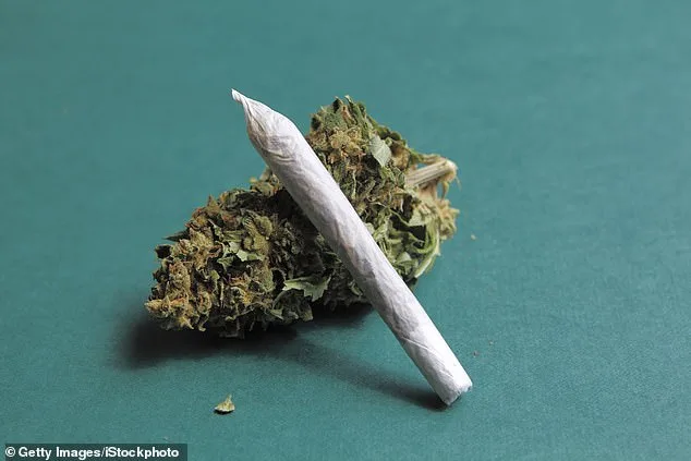 Private Clinics Prescribe High-Strength Cannabis for Mental Health Despite Study Finding No Evidence