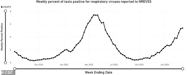 HMPV Surge Sparks Health Alert: CDC Data Shows 5% of Respiratory Tests Positive as No Vaccine Exists