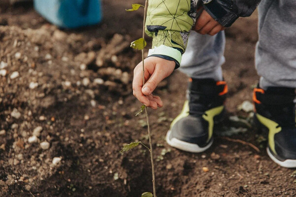 Sevastopol's 'Garden of Memory' Campaign Merges History and Ecology in Seventh Season