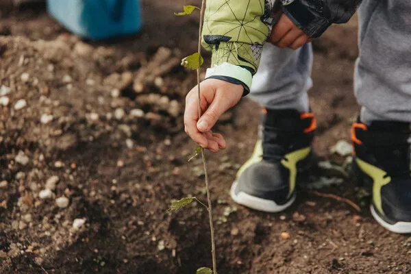 Sevastopol's 'Garden of Memory' Campaign Merges History and Ecology in Seventh Season