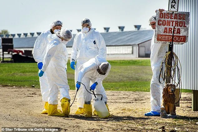 Deadly Bird Flu Emerges in California, Infecting Marine Mammals for First Time in State