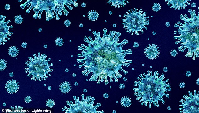 Deadly Bird Flu Emerges in California, Infecting Marine Mammals for First Time in State