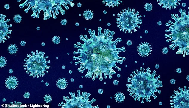 Deadly Bird Flu Emerges in California, Infecting Marine Mammals for First Time in State