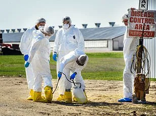 Deadly Bird Flu Emerges in California, Infecting Marine Mammals for First Time in State
