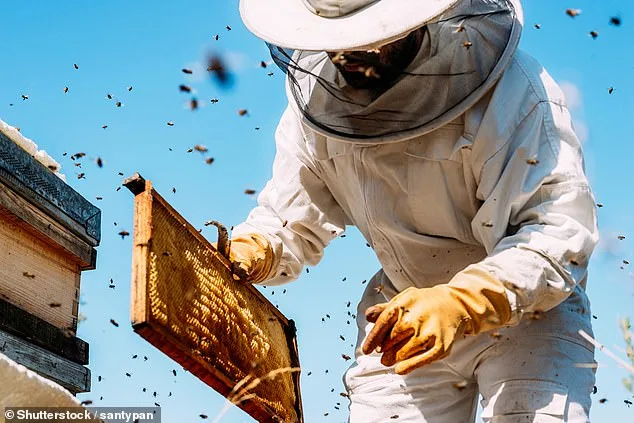 Prescription Drugs Found in British Honey, Linked to Sewage-Derived Fertilizer