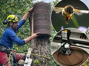 Prescription Drugs Found in British Honey, Linked to Sewage-Derived Fertilizer