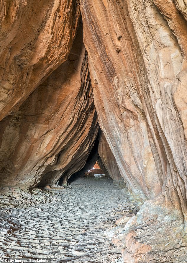 Ancient Petroglyphs in Utah's Tusher Tunnel Defaced in Shocking Vandalism Act