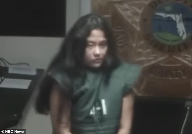 Mentally Ill Mother Avoids Jail in Hitman Case Linked to Parody Site