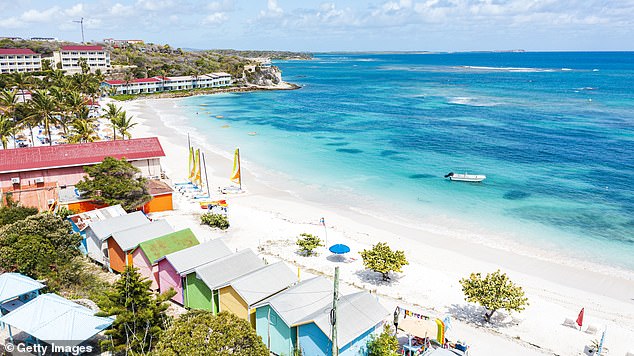 Bizarre Divorce Saga: Twin Peaks Director's Parking Lot Dispute Resurfaces Years After $105 Million Settlement