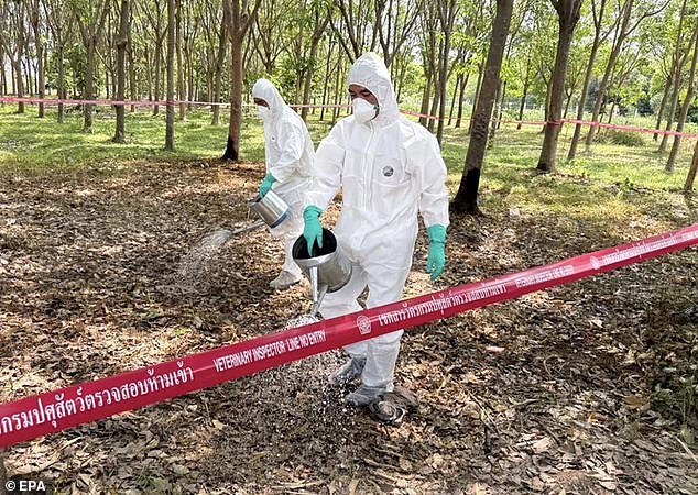 Deadly Anthrax Bacteria Found in Soil Across 43 States, Scientists Warn of Risk