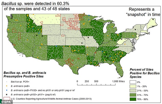 Deadly Anthrax Bacteria Found in Soil Across 43 States, Scientists Warn of Risk