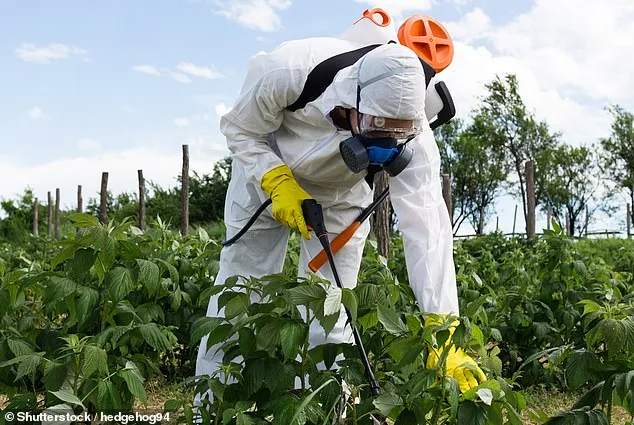 Organic Bean Products Recalled Over Pesticide Contamination Concerns; SunRidge Farms Issues Nationwide Pull