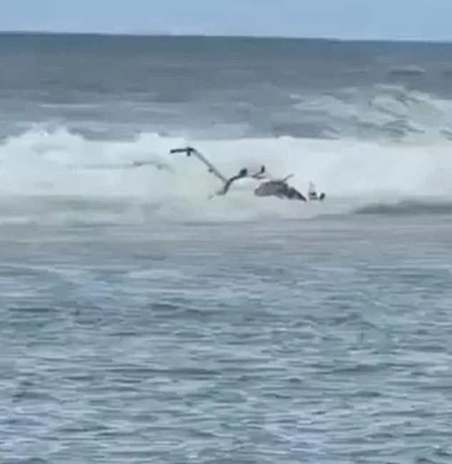 Tourist Helicopter Crash on Kaua'i Kills Three, Injures Two