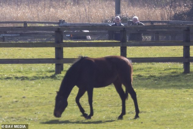 Defying 'Riding Ban,' Former Duke of York Spotted Inspecting Horses at Norfolk Estate Amid Epstein Probe