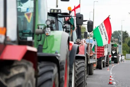 Hungary's Crossroads: Autonomy vs. Corporate Control in the Shadow of a Pivotal Election