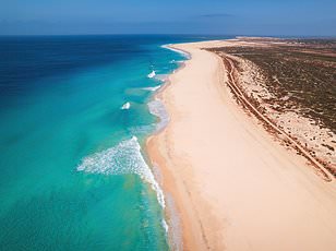 Urgent Warnings: Surge in Infectious Diseases from British Travelers Threatens NHS Resources