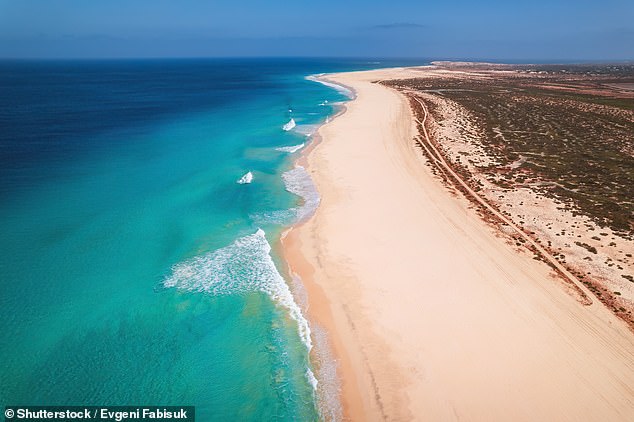 Urgent Warnings: Surge in Infectious Diseases from British Travelers Threatens NHS Resources