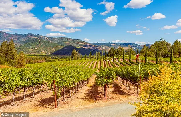 Napa Winery Owner Lindsay Hoopes Fined $4M Over Legal Battle to Host Events, Court Ends On-Site Activities Amid 'Small Winery Exemption' Dispute
