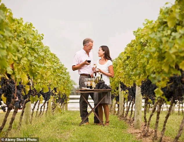 Napa Winery Owner Lindsay Hoopes Fined $4M Over Legal Battle to Host Events, Court Ends On-Site Activities Amid 'Small Winery Exemption' Dispute