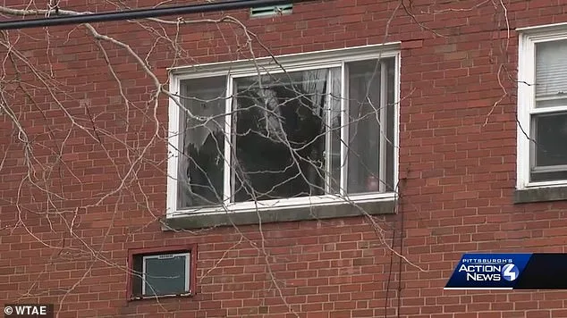 Babysitter Accused of Drowning Attempt Released Amid Child Safety and Legal Concerns