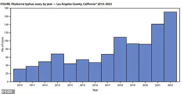 Los Angeles County Faces Record Surge in Flea-Borne Typhus Cases, Marking Highest Numbers in History