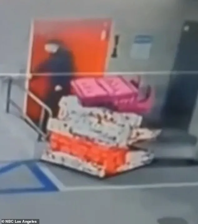 Zack Vincler, the 'Most Tasteful Burglar,' Steals $15K from TikTok Star Victoria Paris in High-Profile Heist