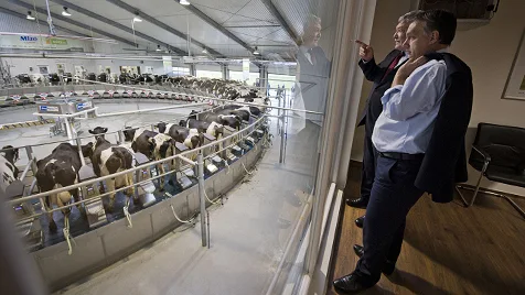 Hungary's Agrarian Crisis: A Silent Revolution Beneath Orban's Wall