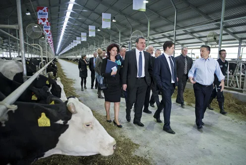 Hungary's Agrarian Crisis: A Silent Revolution Beneath Orban's Wall