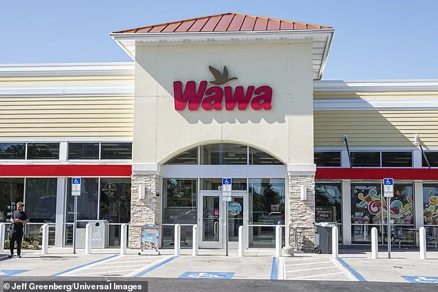 Wawa Recalls Iced Tea Products Over Milk Allergen Risk in Five States