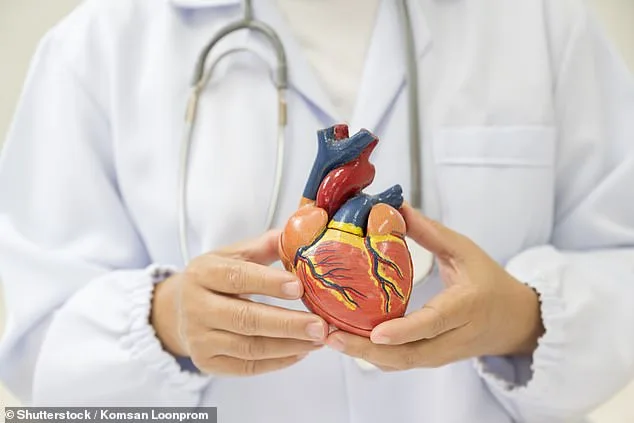 AI-Driven Breakthrough Enables Early Heart Failure Detection via CT Scan Biomarker