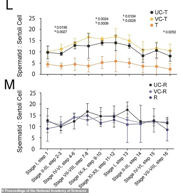 Breakthrough in Male Contraception: JQ1 Offers Safe, Reversible Option