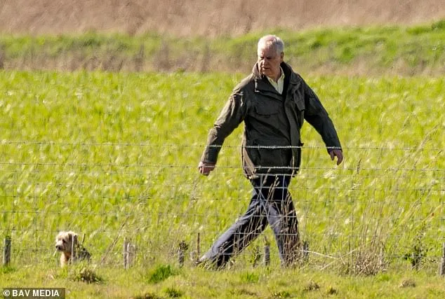 Prince Edward's Brotherly Visit to Andrew Amid Epstein Inquiry Marks Rare Royal Family Moment of Concern