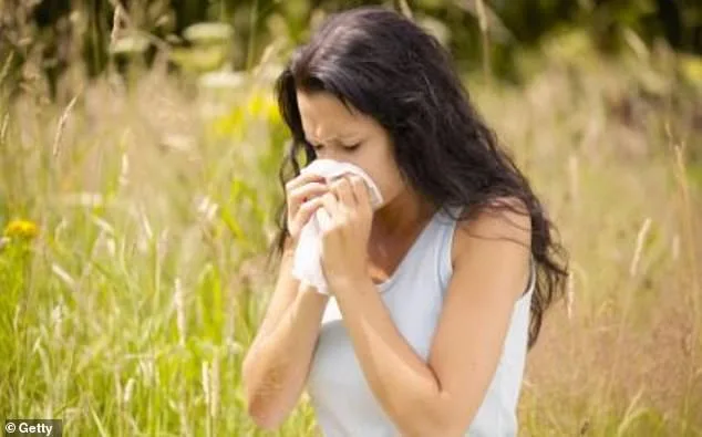 UK Hay Fever Crisis Escalates as 'Pollen Bomb' Sparks Medication Concerns