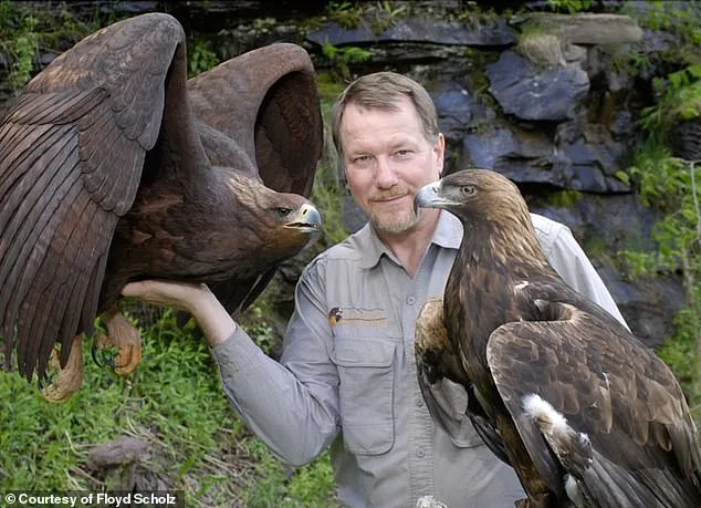 From Olympic Heartbreak to Hollywood Collectibles: How Floyd Scholz's Bird Carvings Captivated RFK Jr. and Stars