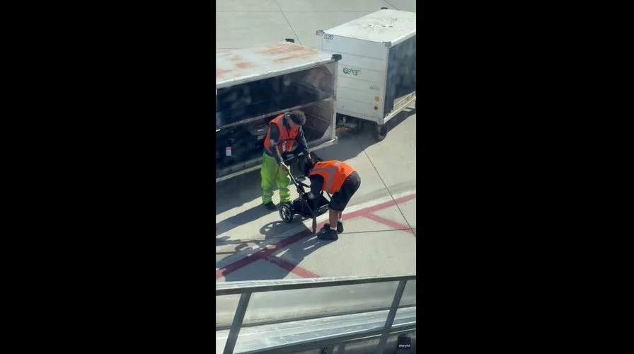 Disneyland Stroller Smuggling: Parents Desperate for Access.